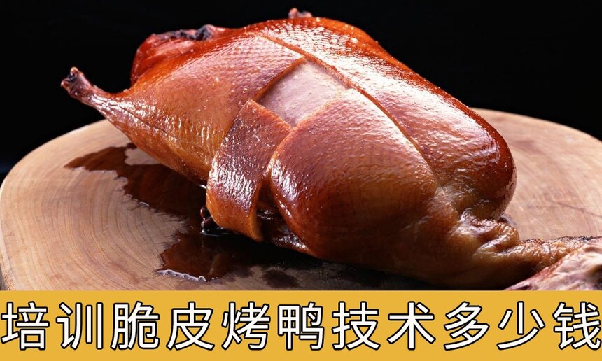 ѵƤѼǮרҵѵƤѼļҺã