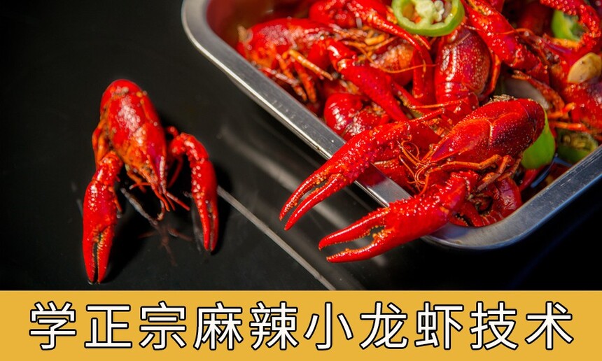 ѧСϺҪٷãѧڣ