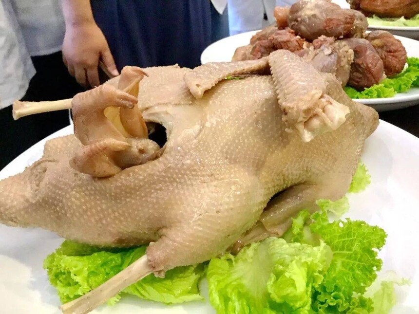 ɽɽѵ ɽɽѵѧУѧѶǮ