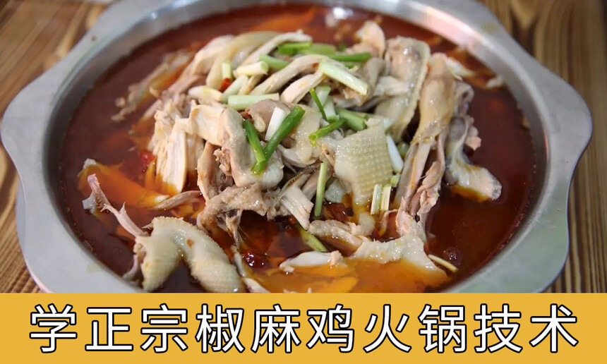 鼦ѵѧڽ鼦Ҫٷ(鼦ѧ)