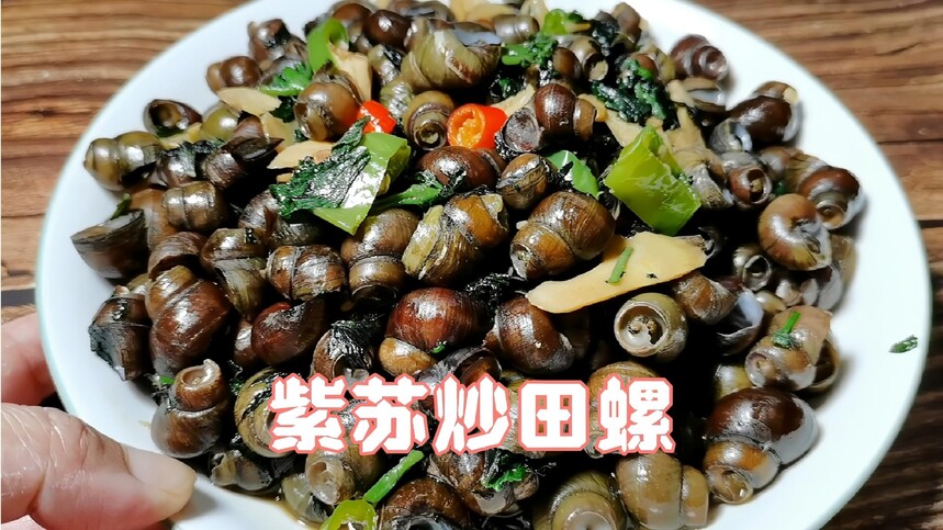 ѵѧڳݼҪٷ(ѧ)