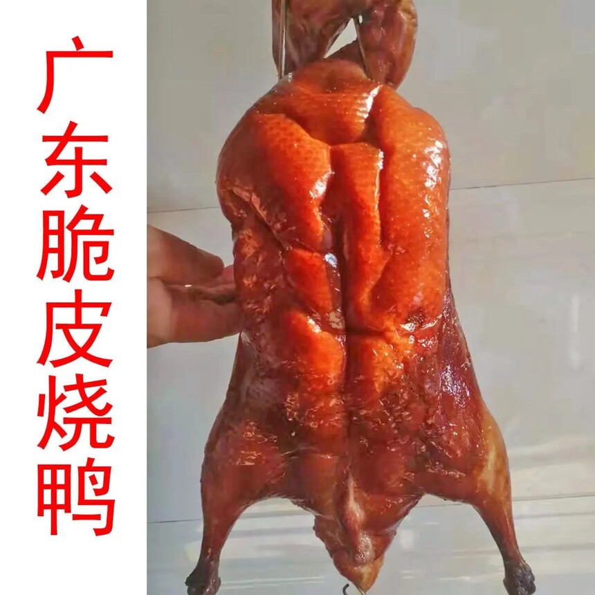 ʽƤѼѵѧڹʽƤѼҪٷ(ʽƤѼѧ)