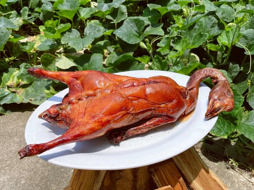 ʽնѵѧڹʽն켼Ҫٷ(ʽնѧ)