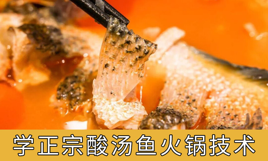ѵѧҪٷ(ѧ)