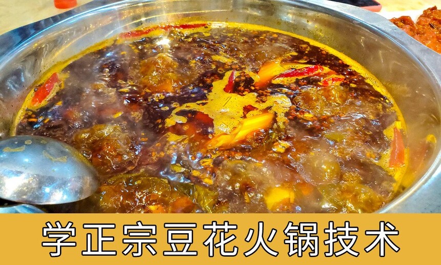 ѵѧڶҪٷ(ѧ)