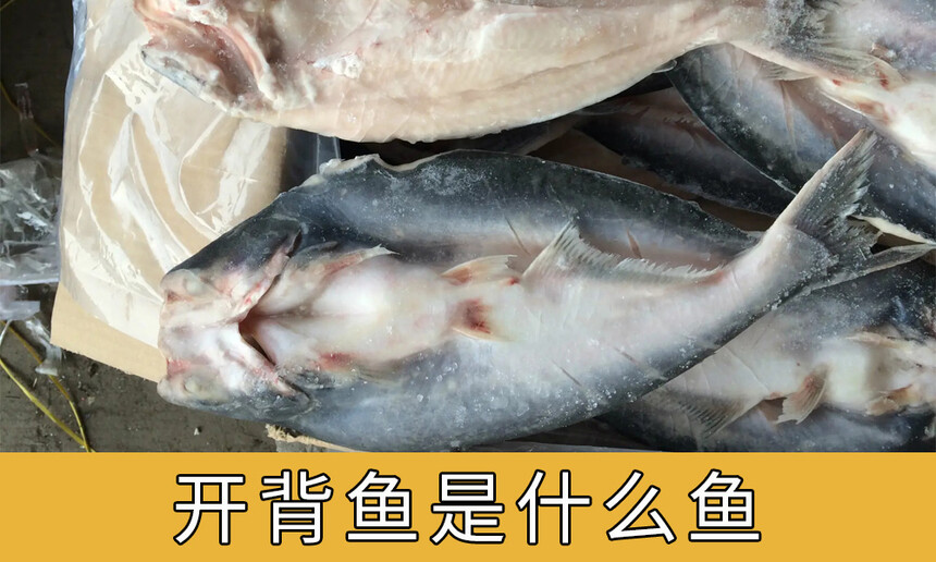 ʲô(ôóּ)