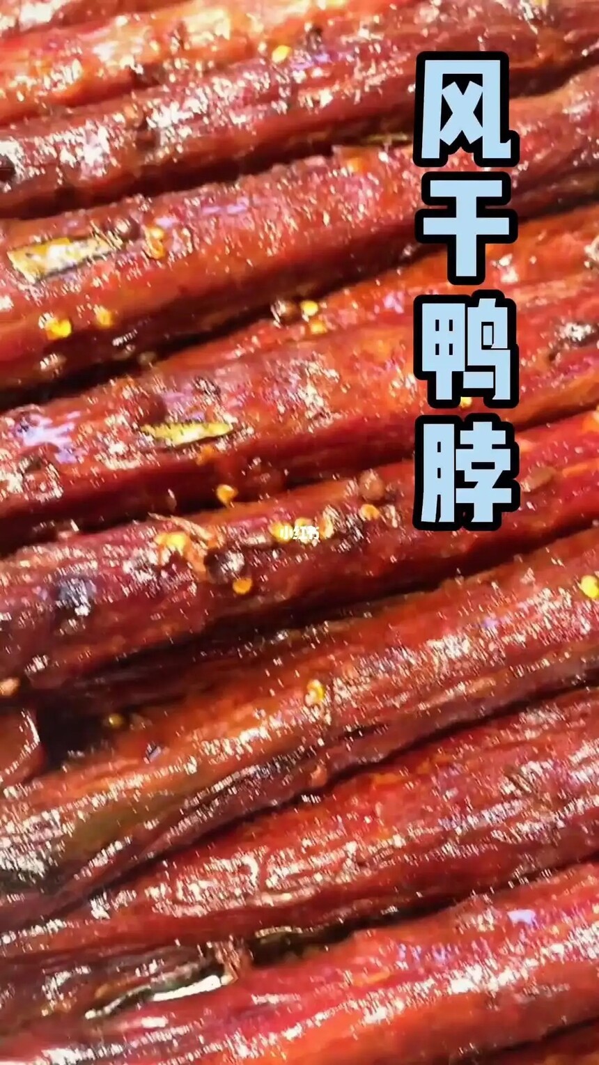 ѼѵѧڷѼҪٷ(Ѽѧ)