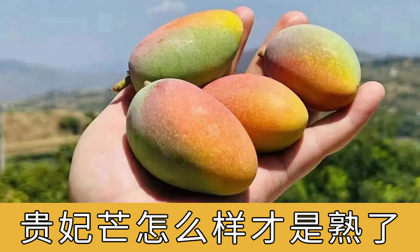 âô(âɫĿԳ)