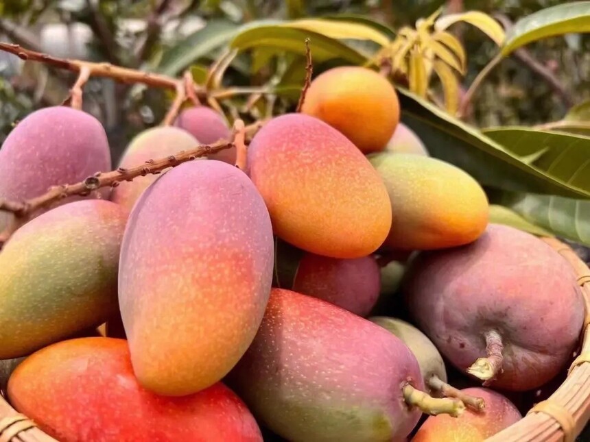 âô(âɫĿԳ)