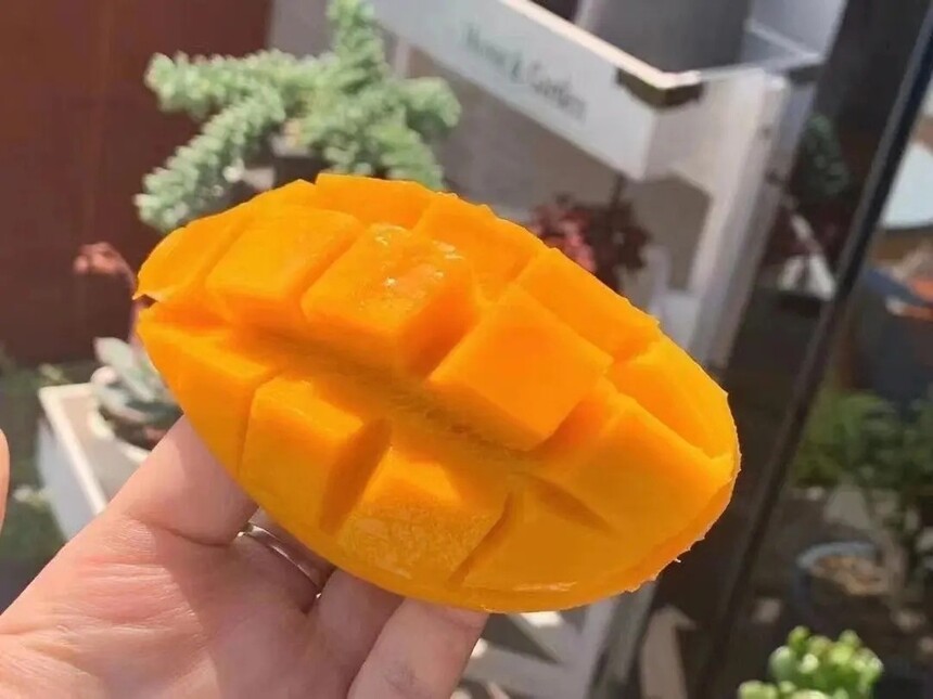 âô(âɫĿԳ)