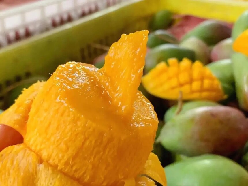 âô(âɫĿԳ)