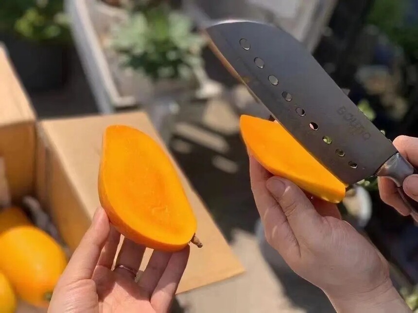 âô(âɫĿԳ)