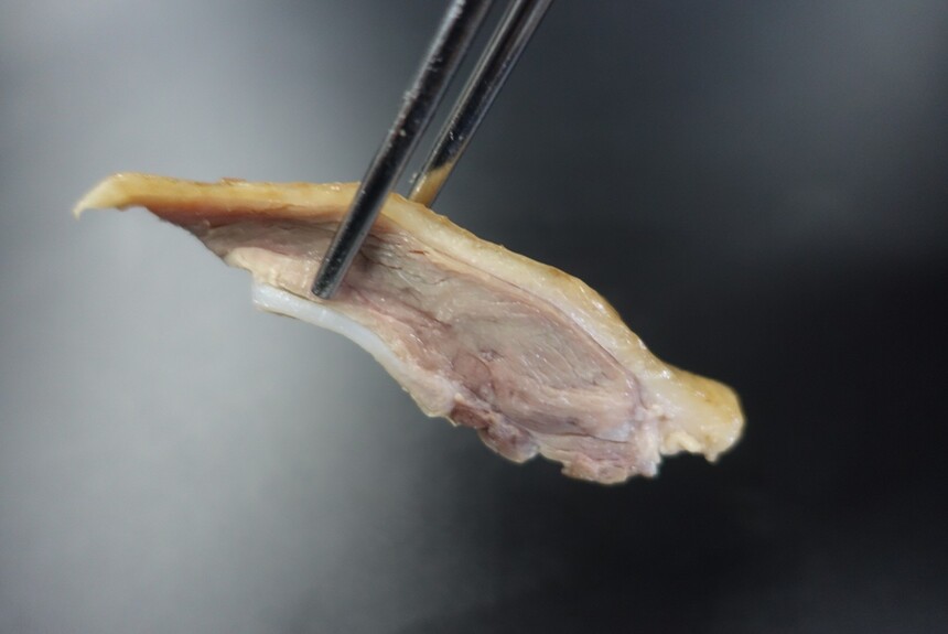 ݸˮѼѵ ݸˮѼѵ ݸˮѼѵѧУ