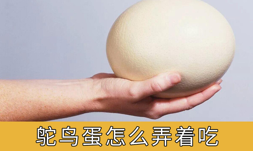 ôŪų(ųԱȽϺ)