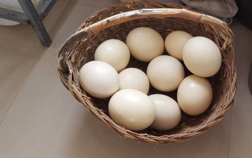 ôŪų(ųԱȽϺ)