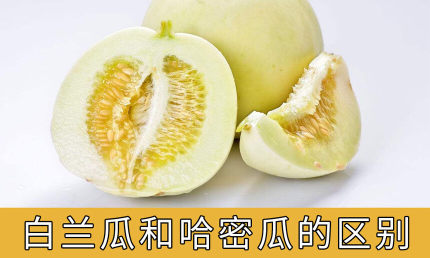 Ϻ͹ܹϵ(Ϻ͹ܹϸó)
