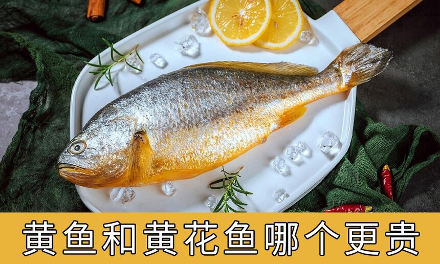 ͻƻĸ(ͻƻĸó)