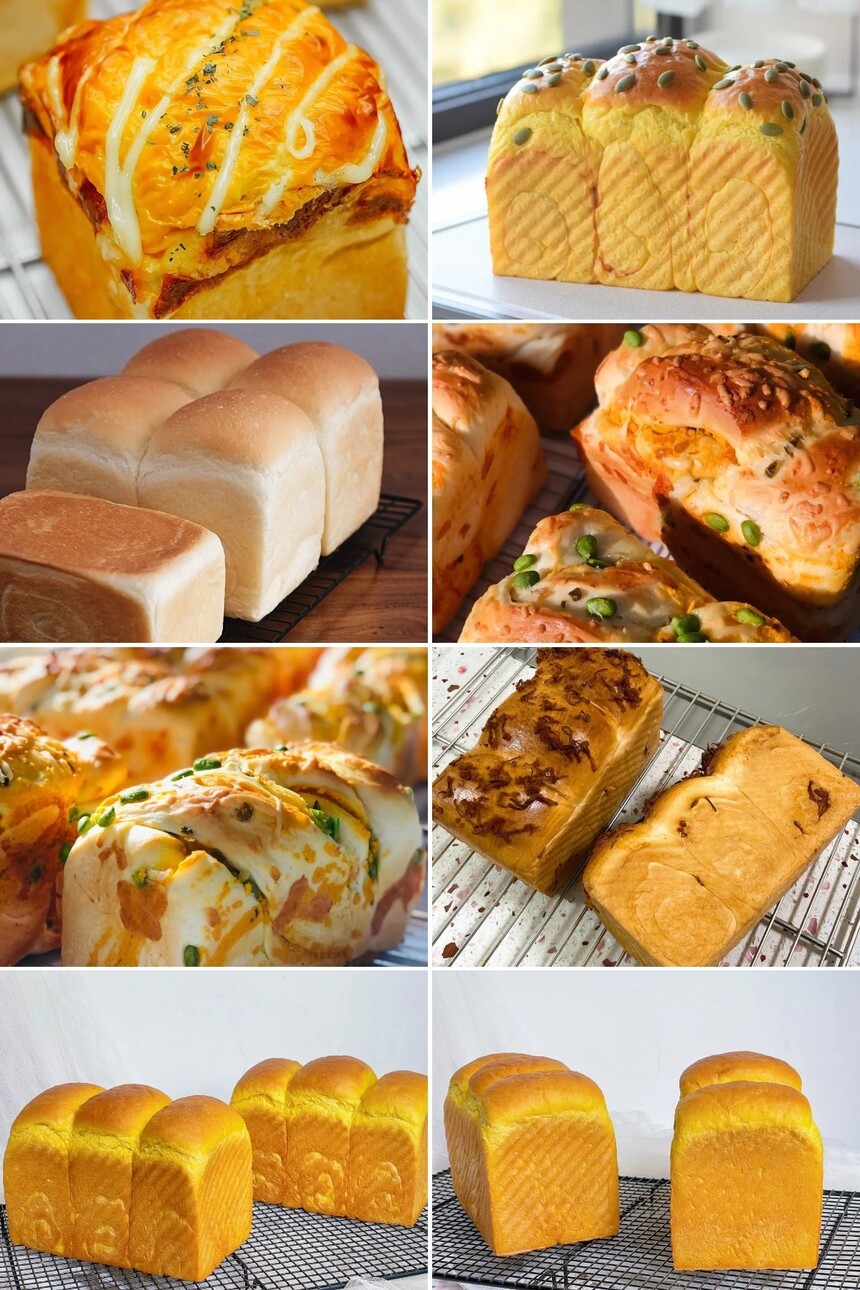 ˾ѵ ˾ѵ ˾ѵѧУ