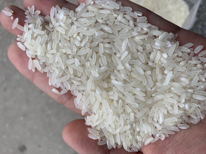 粳米和籼米哪个适合蒸米饭(籼米和粳米哪个煮饭更好吃)