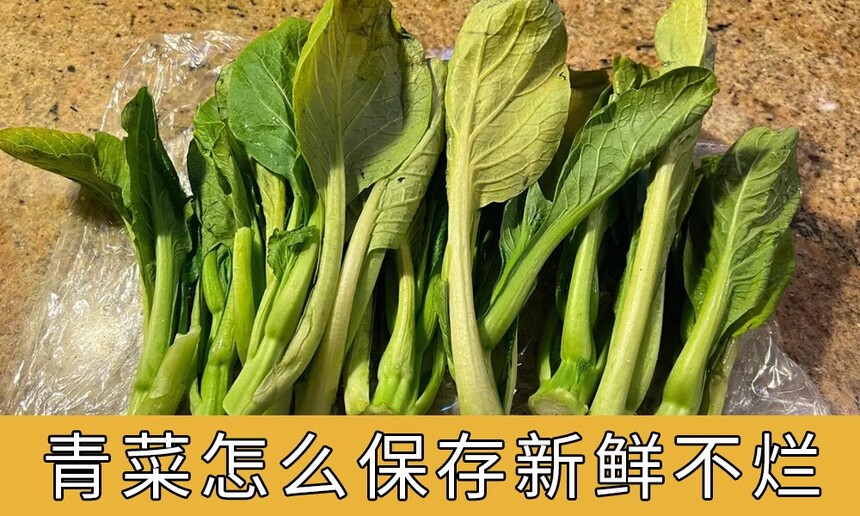 ôʲ(˷űԴż)