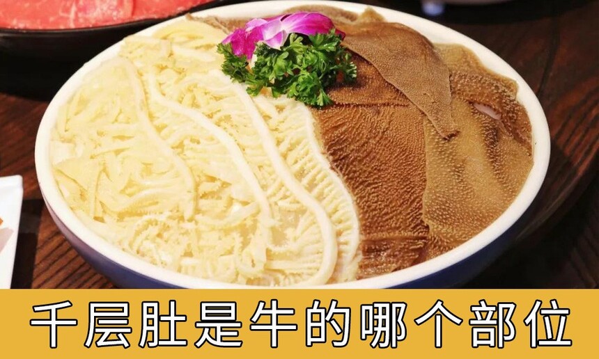 ǧţĸλ(ǧǺëǵ)