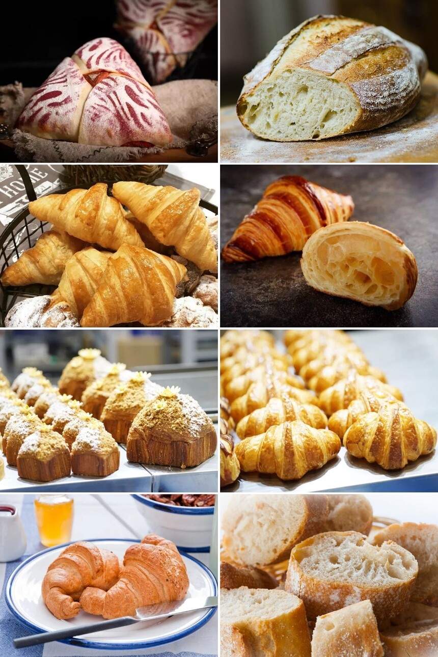 ŷʽѵļҺ ŷʽѵ ŷʽѵ