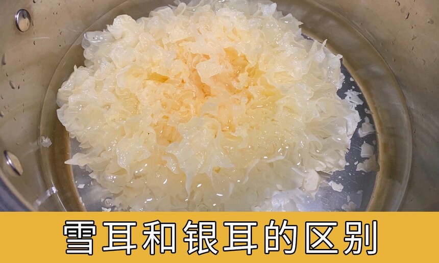 ѩ(ѩôóּ)