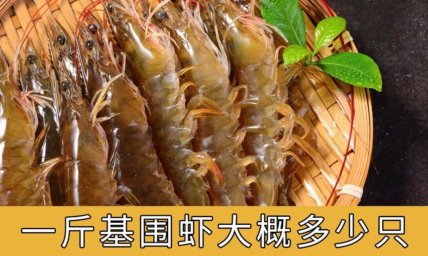 һΧϺŶֻ(ΧϺôóּ)