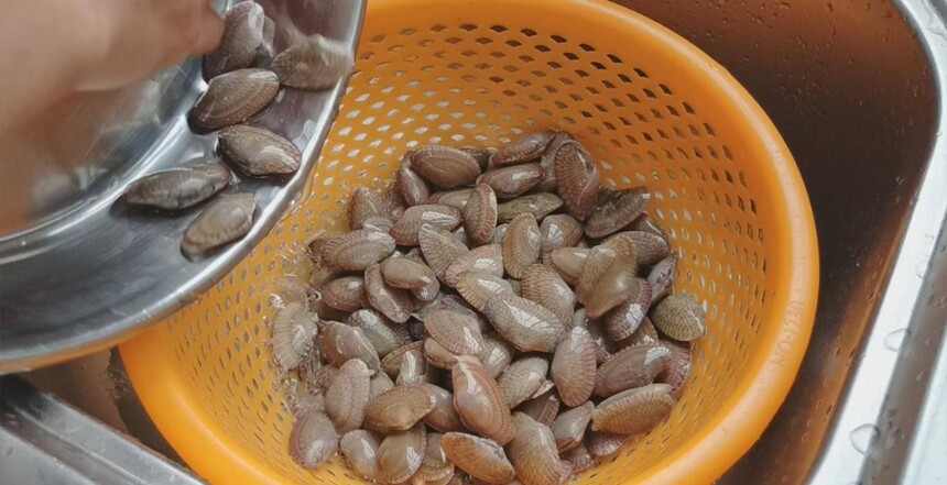 䶳˻ܿ(䶳ôóּ)