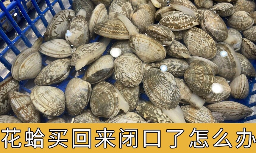 ȫտô(ôóּ)