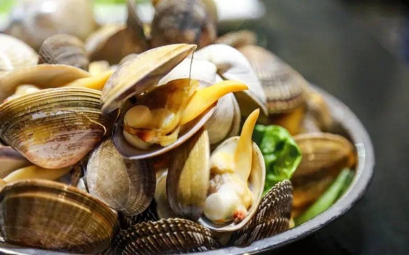 ȫտô(ôóּ)