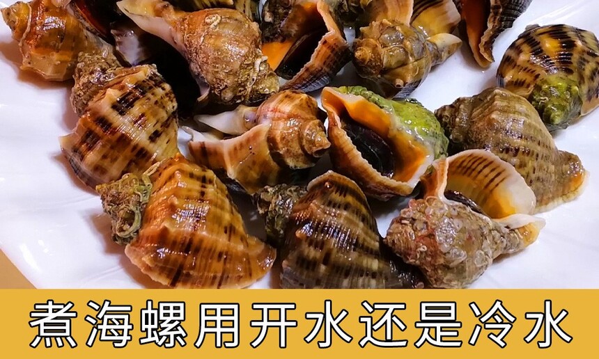 ÿˮˮ(ݶ೤ʱ͸)