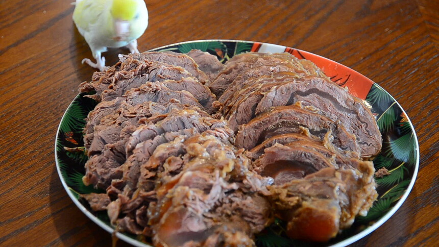 ţѹѹ೤ʱ(ţôó)