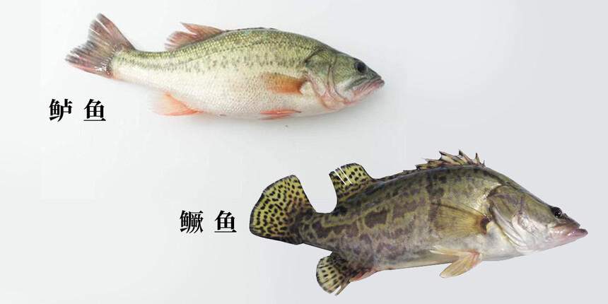ĸó(ôźóּ)