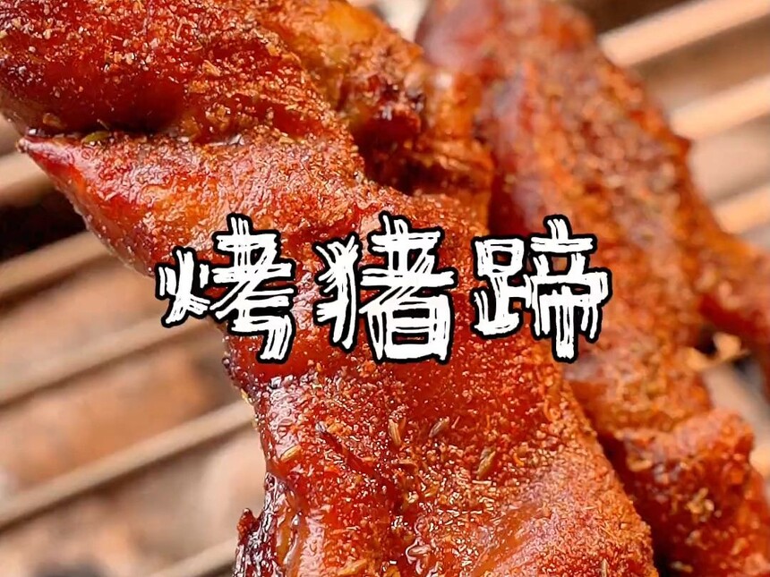 ˿ѵ ѧСѵļҺ