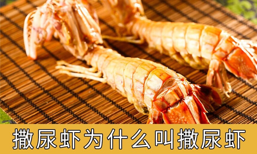 ϺΪʲôϺ ϺƤƤϺ