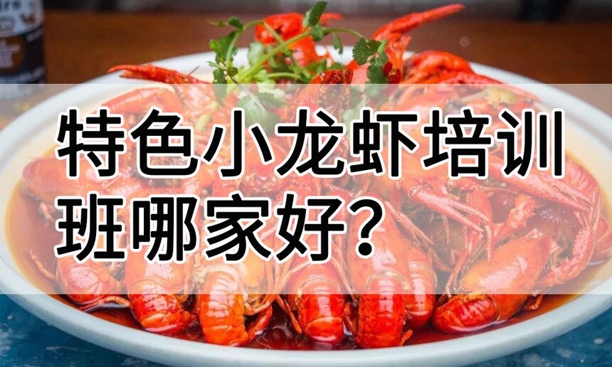 ɫСϺѵ ɫСϺѵ ɫСϺѵѧУ