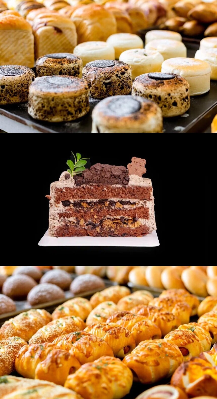 ʽѧѴŶǮ