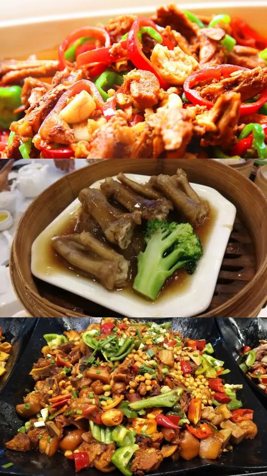 ѧʦѧǮ