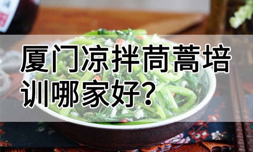 ѵļҺ ѵѧҪǮ