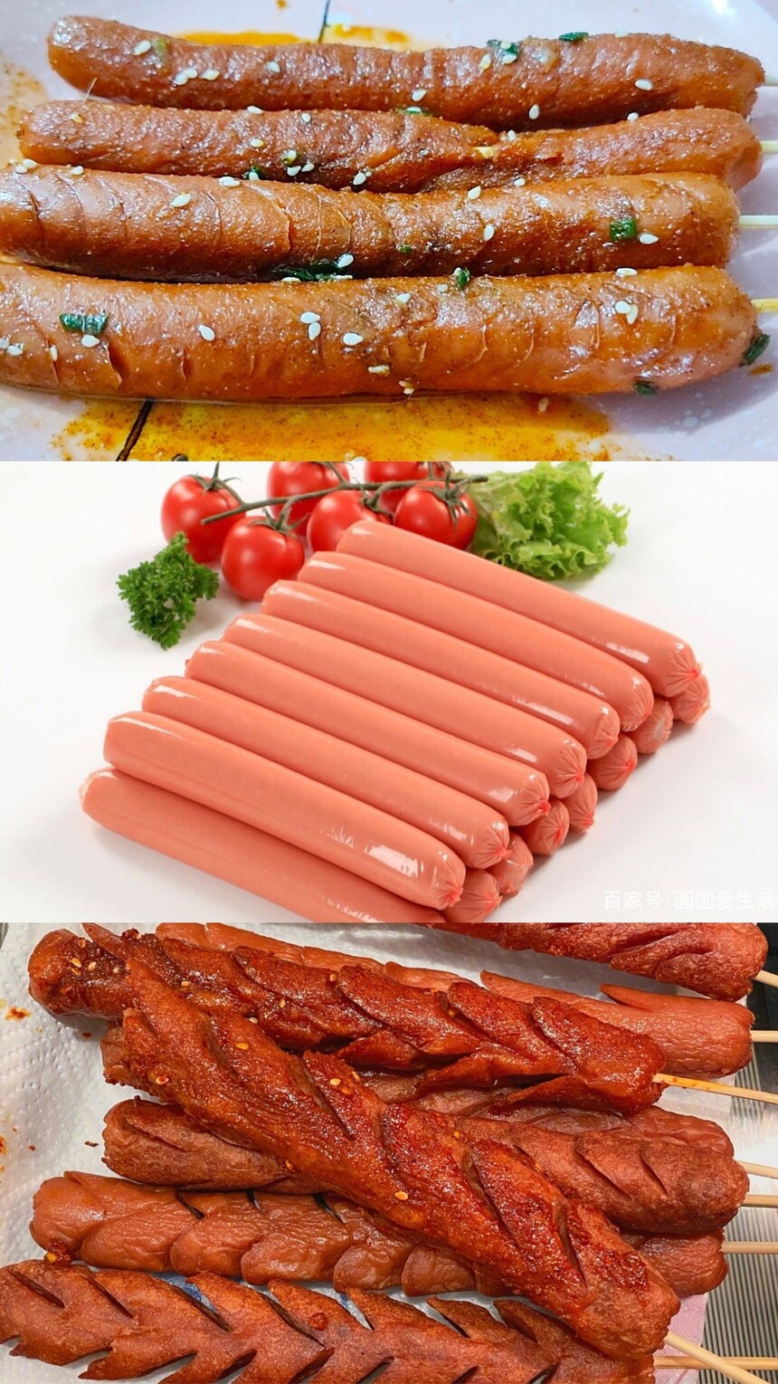 ŻȳѵļҺ ŻȳѵѧҪǮ