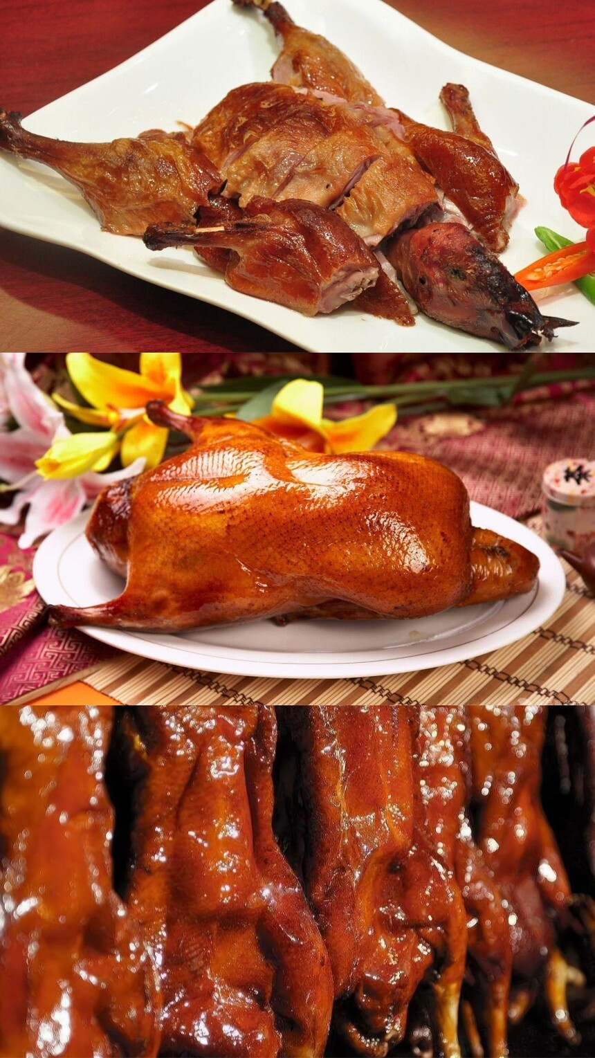 ơƿѼѵ ơƿѼѵ ơƿѼѵ