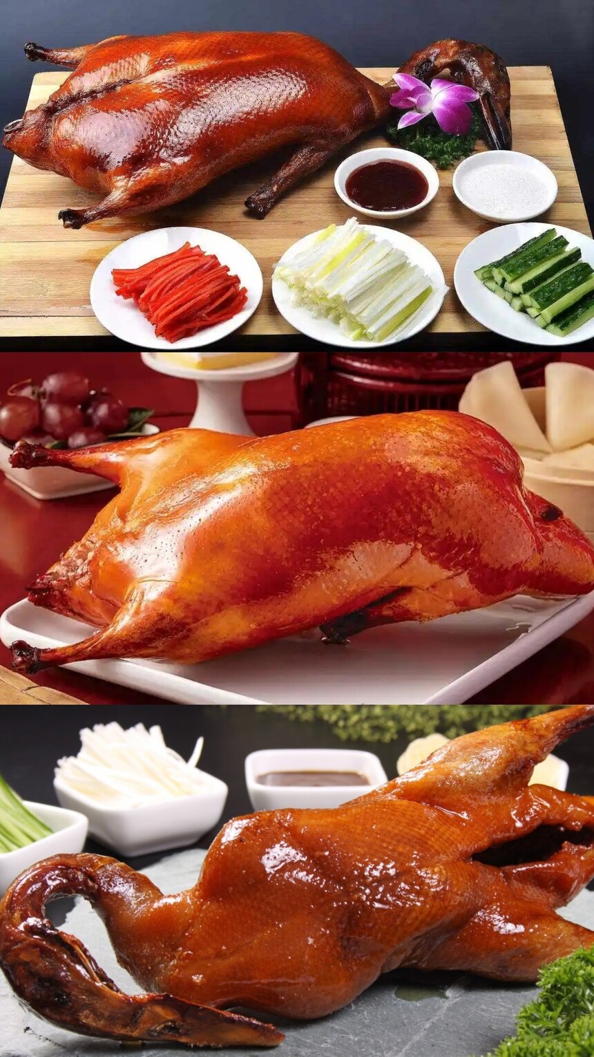 ѧڱѼ(ѧڱѼҪǮҪѧ)