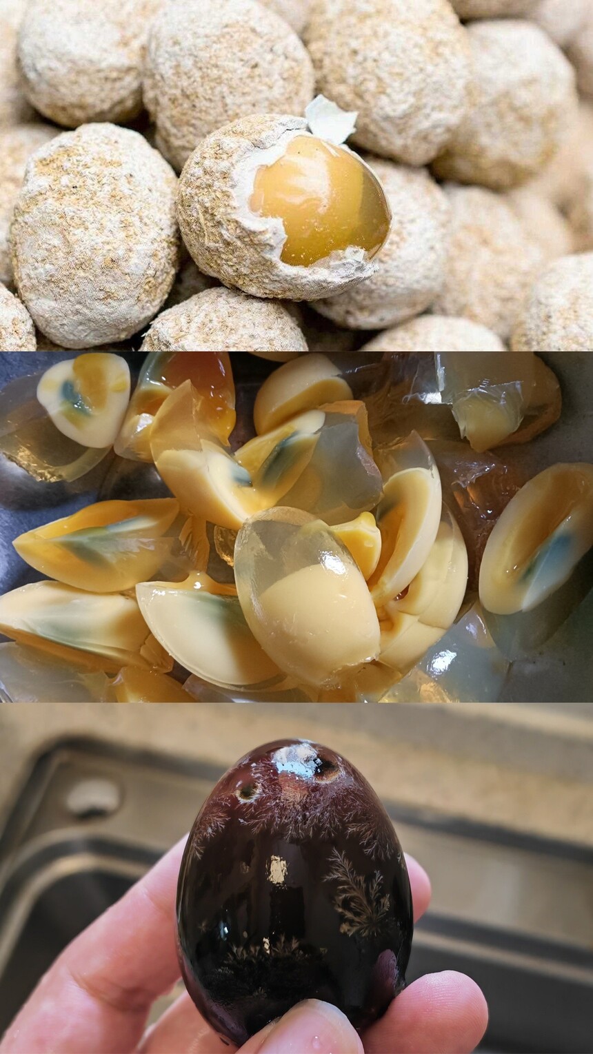 ɳ䵰ѵѧ ɳ䵰ѵ ɳ䵰ѵַ