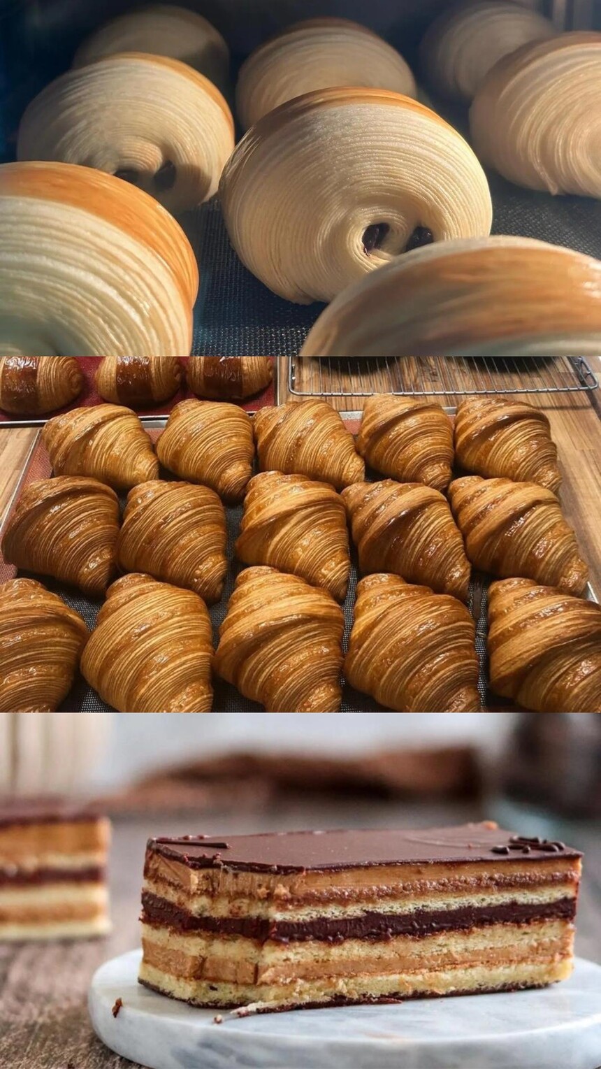 ϷѵѧУ(ϷѵѧУļҺ)