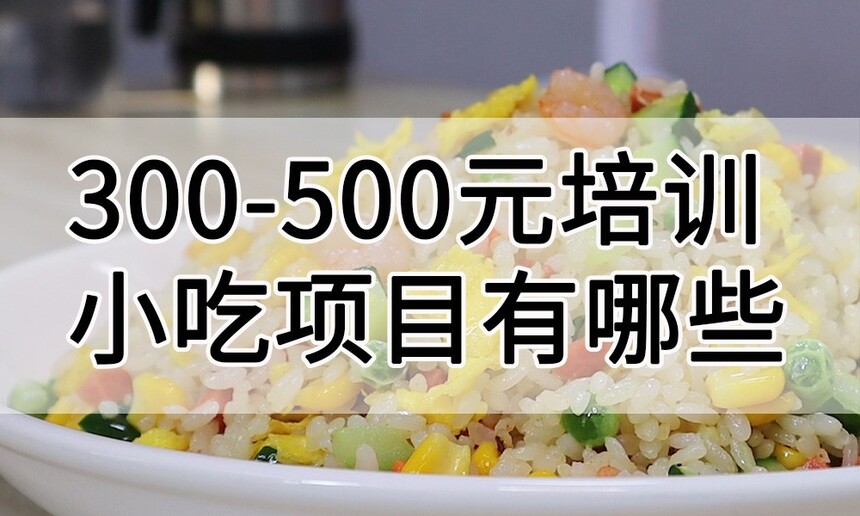 300-500ԪѵСĿЩ(300-500ԪѧϰЩСԼ)