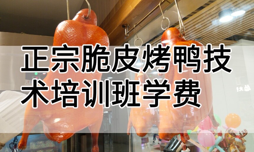 ѧƤѼѧ(ڴƤѼѵѧѶǮ)
