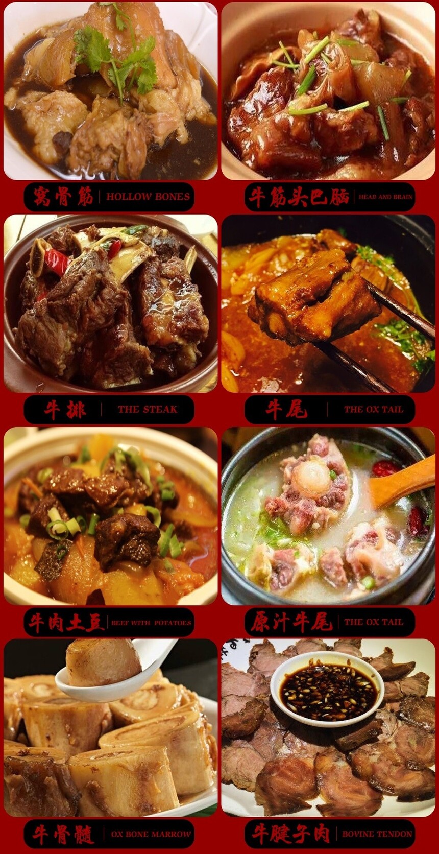 ţ̳⼼ѵ(ţ̳⼼ѵѧѶǮ)