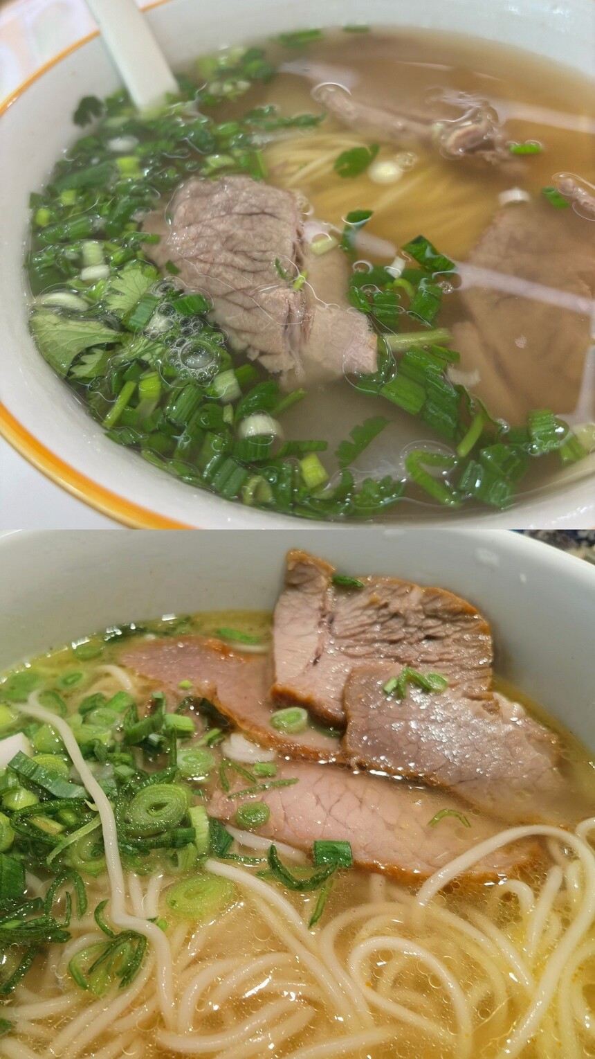 ţ(ţ䷽Щ)