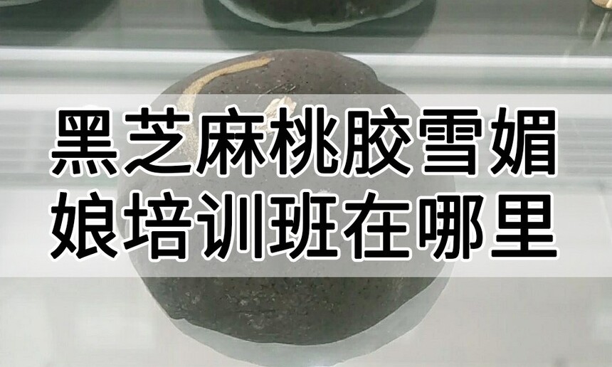人֥ҽѩѵﱨѧϰ 人֥ҽѩѵѧУѧѶǮ